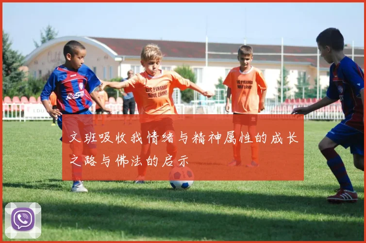 文班吸收我情绪与精神属性的成长之路与佛法的启示